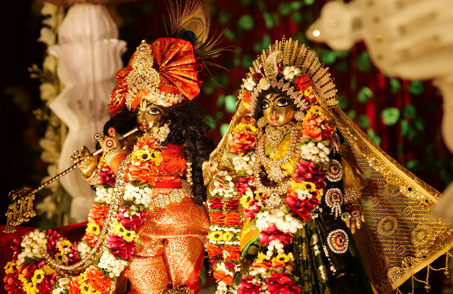 Jhulan Utsav 2025 Day 1
